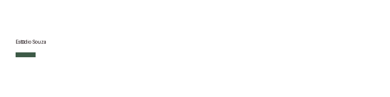 Estúdio Souza logo